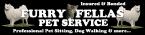 Furry Fellas Pet Service