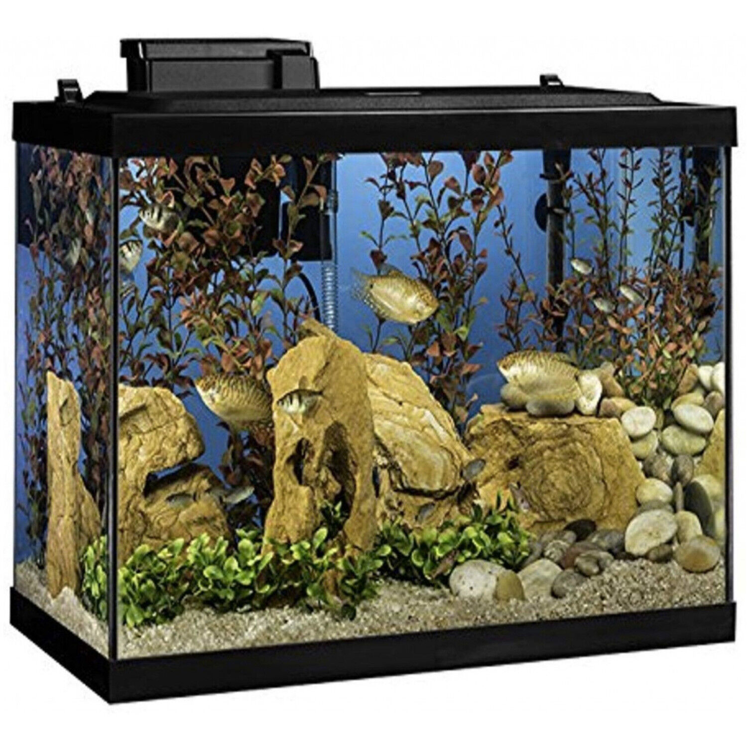 Tetra 20 Gallon Complete Aquarium Kit w/ Filter, Heater, LED & Plants