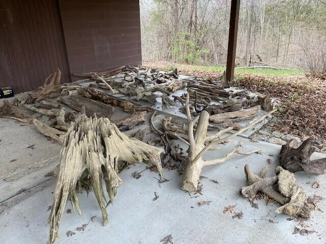 120 Piece Bulk Driftwood Lot Natural Wood Aquarium Landscape Art