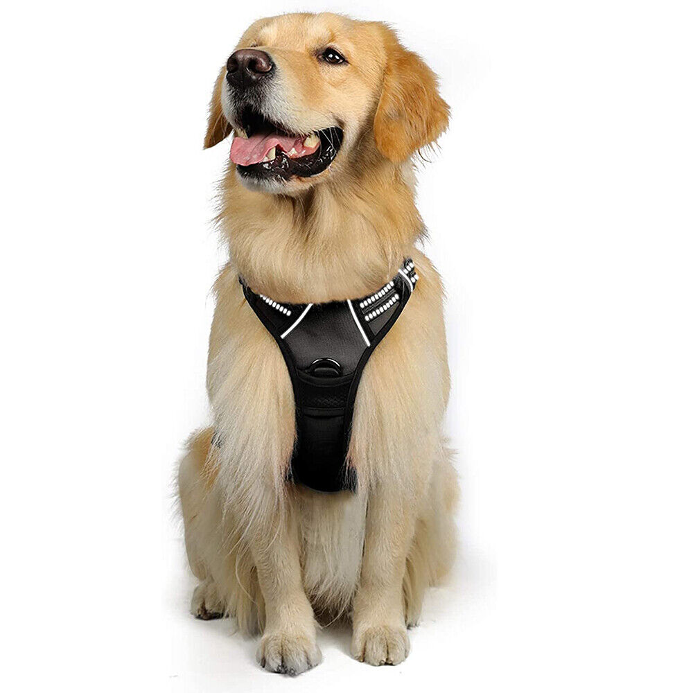 rabbitgoo Dog Harness No-Pull with 2 Leash Clips Adjustable Pet Vest Reflective