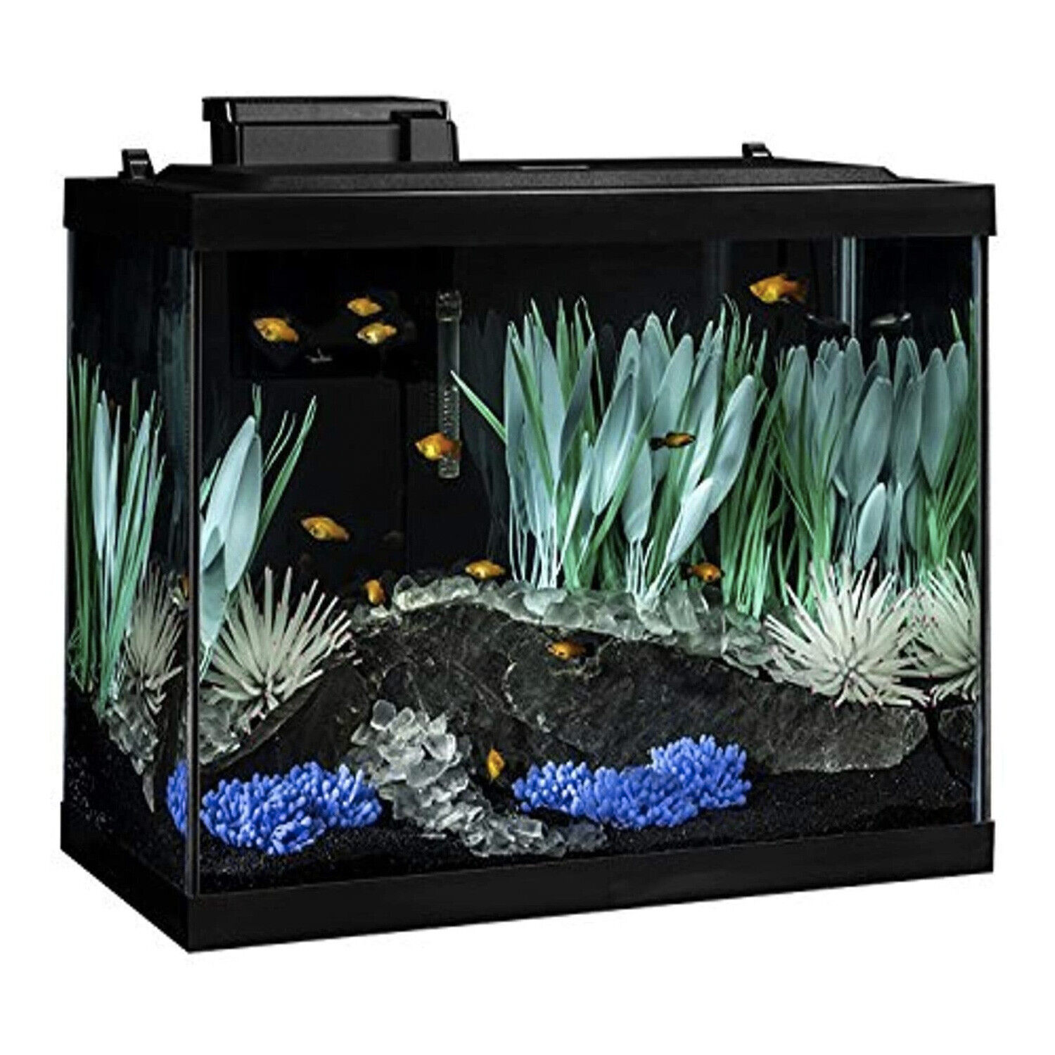 Tetra 20 Gallon ColorFusion Aquarium Kit w/ Filter Heater LED & Plants