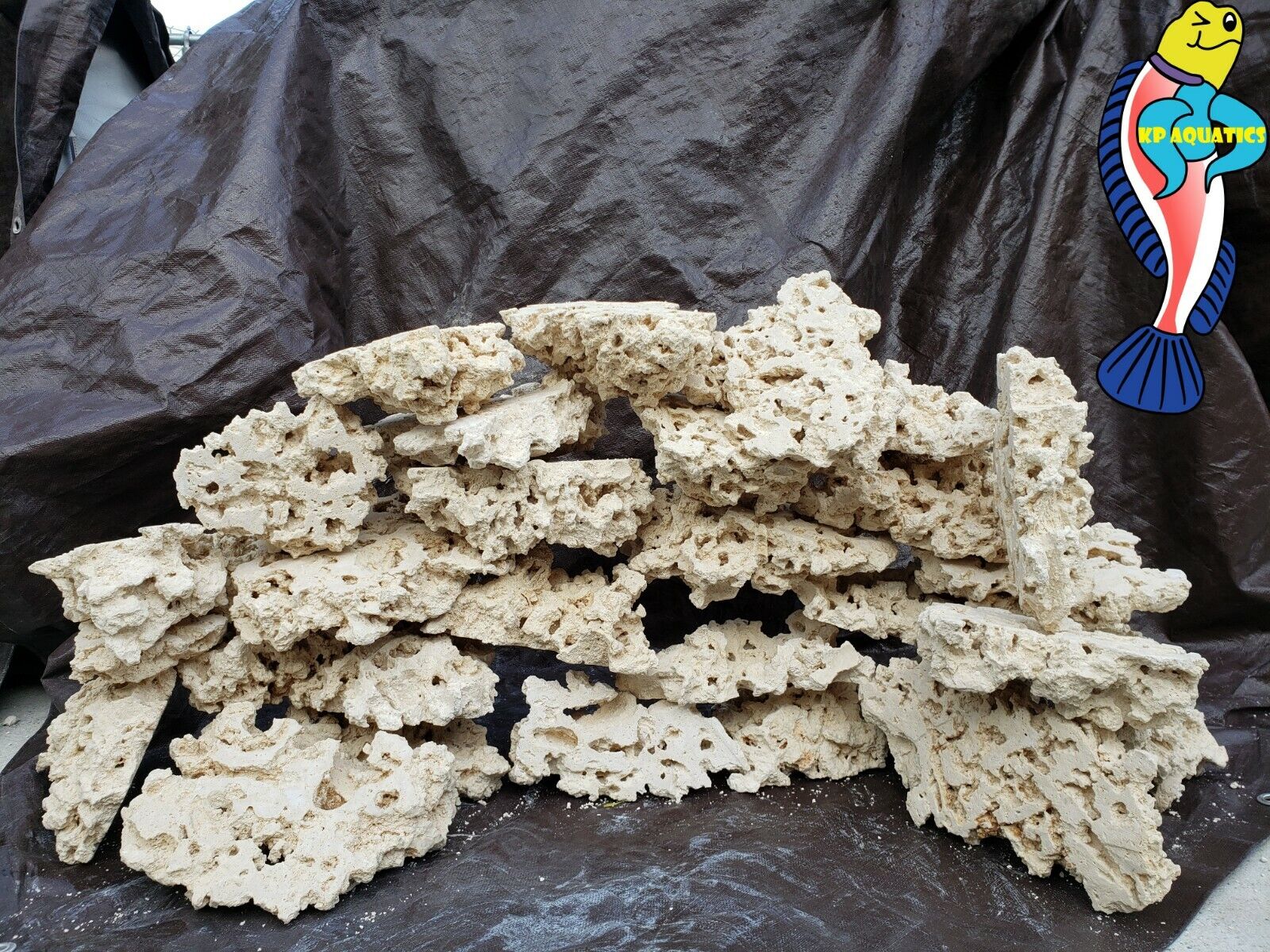 15 lbs of Dry, Lightweight and Porous Shelf Rock for Aquariums, Cut Rock