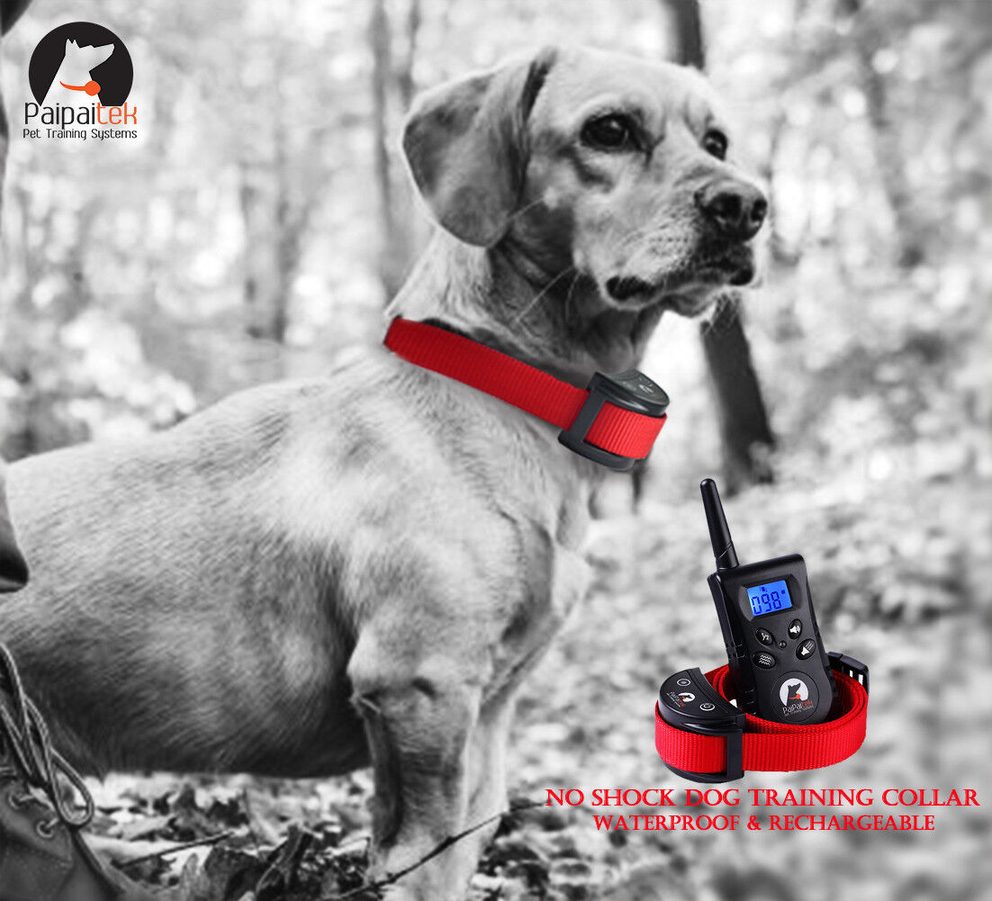 Vibration Dog Training Collar No Shock Remote 1500ft Safe Pet Behavior Paipaitek