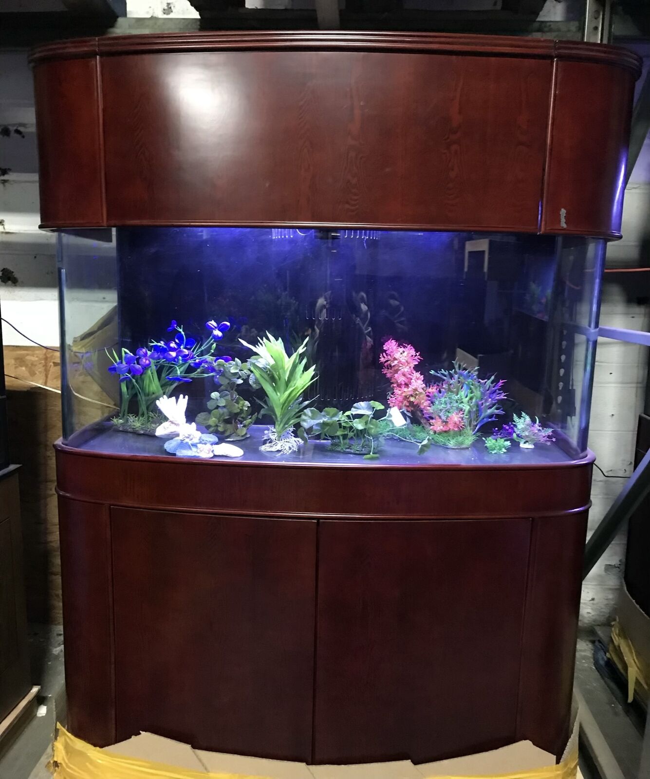 WARRANTY INCLUDED 170 gallon GLASS bow front aquarium fish tank in cherry wood