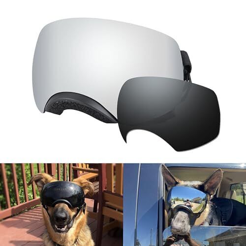  Dog Goggles Large Breed, Dog Sunglasses for Large Black frame+ black lens