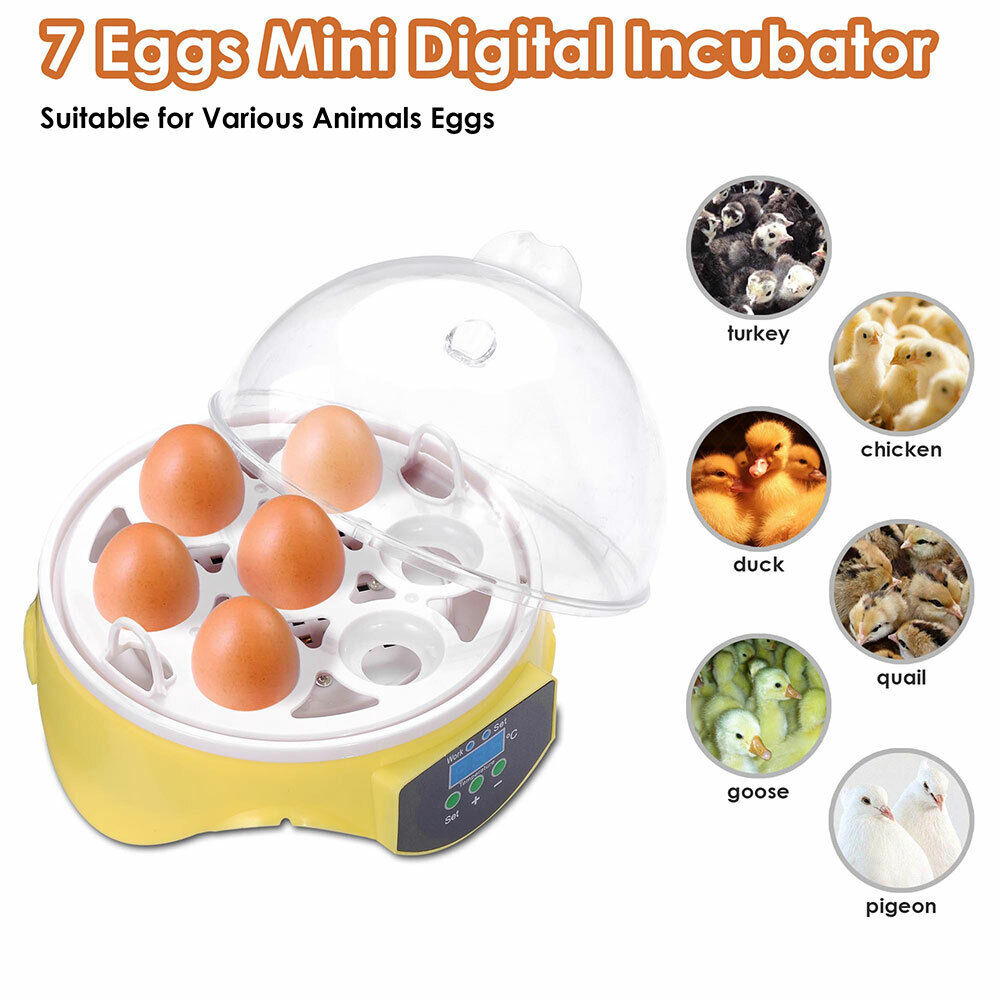 Digital 7 Egg Incubator Mini Hatcher Temperature Control Chicken Duck Bird Quail