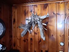 Extra Large Driftwood Wall Sculpture Hanging picture