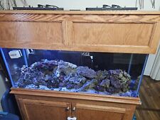 75 gallon Salt Water Aquarium, stand, hood. Live Rock and New Lights Included.   picture