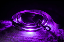 Blazin' Safety LED Dog Leash - USB Rechargeable Flashing Light, 6 Ft, Water Resi picture